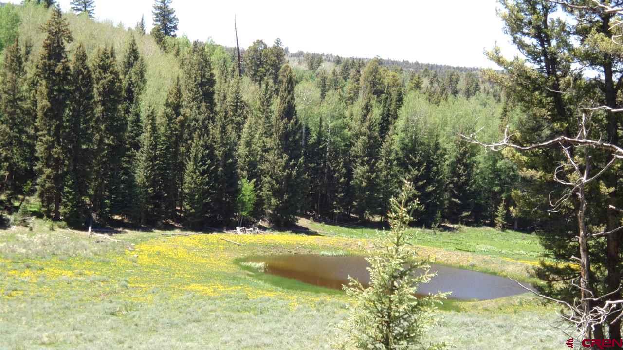 4802 Armitage Springs Road Gunnison, CO 81230 - Photo 22 of 25 Gallery Image 22