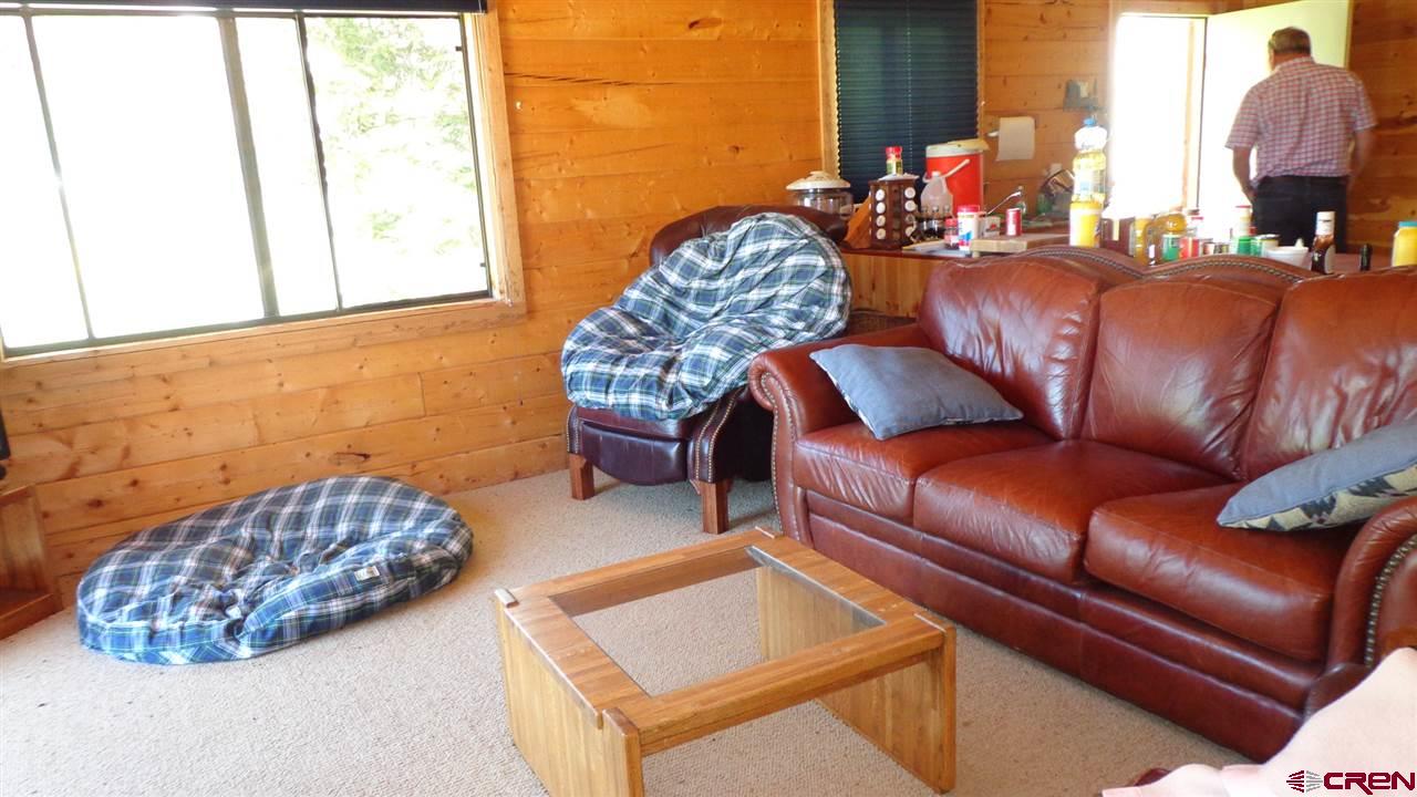 4802 Armitage Springs Road Gunnison, CO 81230 - Photo 8 of 25 Gallery Image 8
