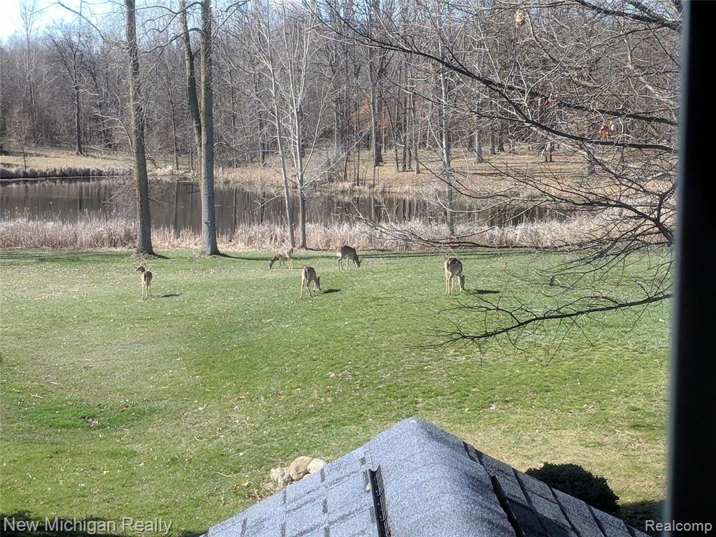 152 West Rolston Road Linden, MI 48451 - Photo 6 of 64