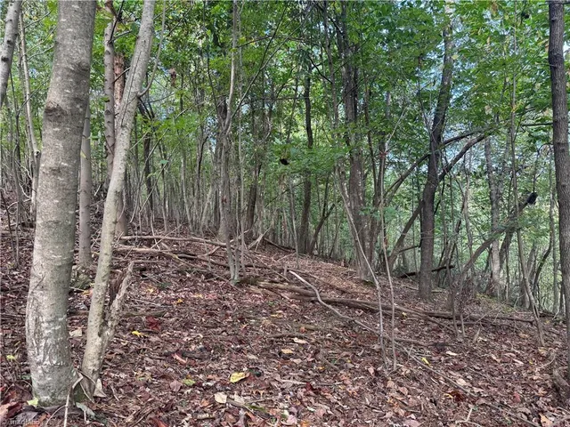 $145,000 | 0 Bert Cockerham Road, Elkin, NC 28621