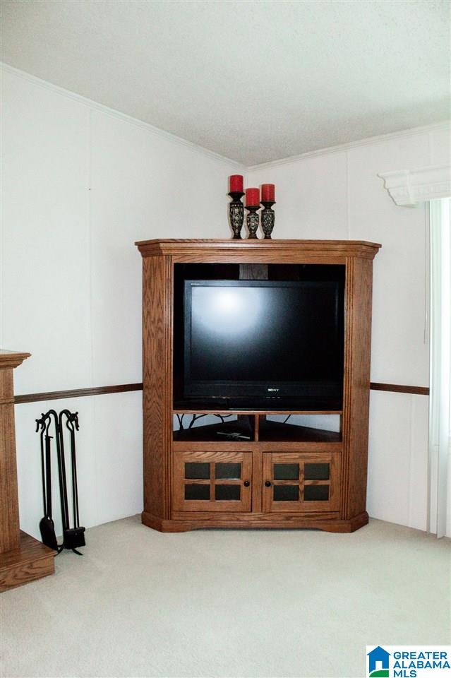 1053 Mahaffey Road Eastaboga, AL 36260 - Photo 19 of 44 Gallery Image 19