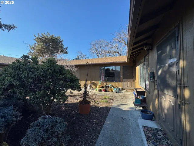 a view of a large tree with big yard
