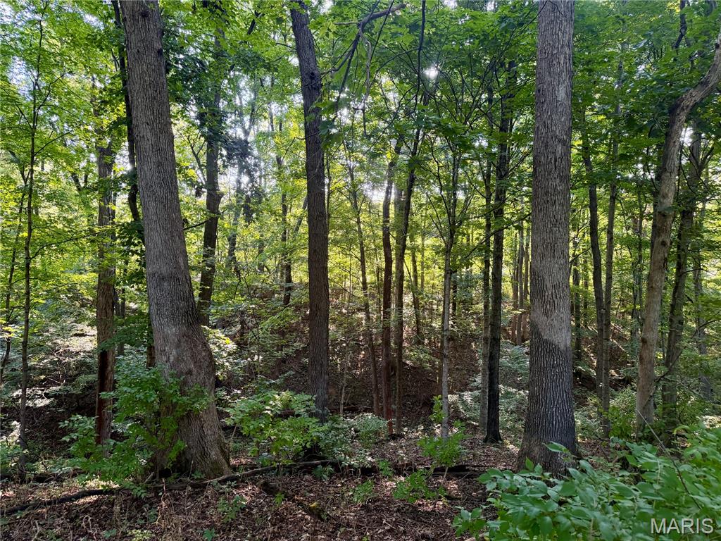 0 County Road Strasburg, IL 62465 - Photo 43 of 97 Gallery Image 43