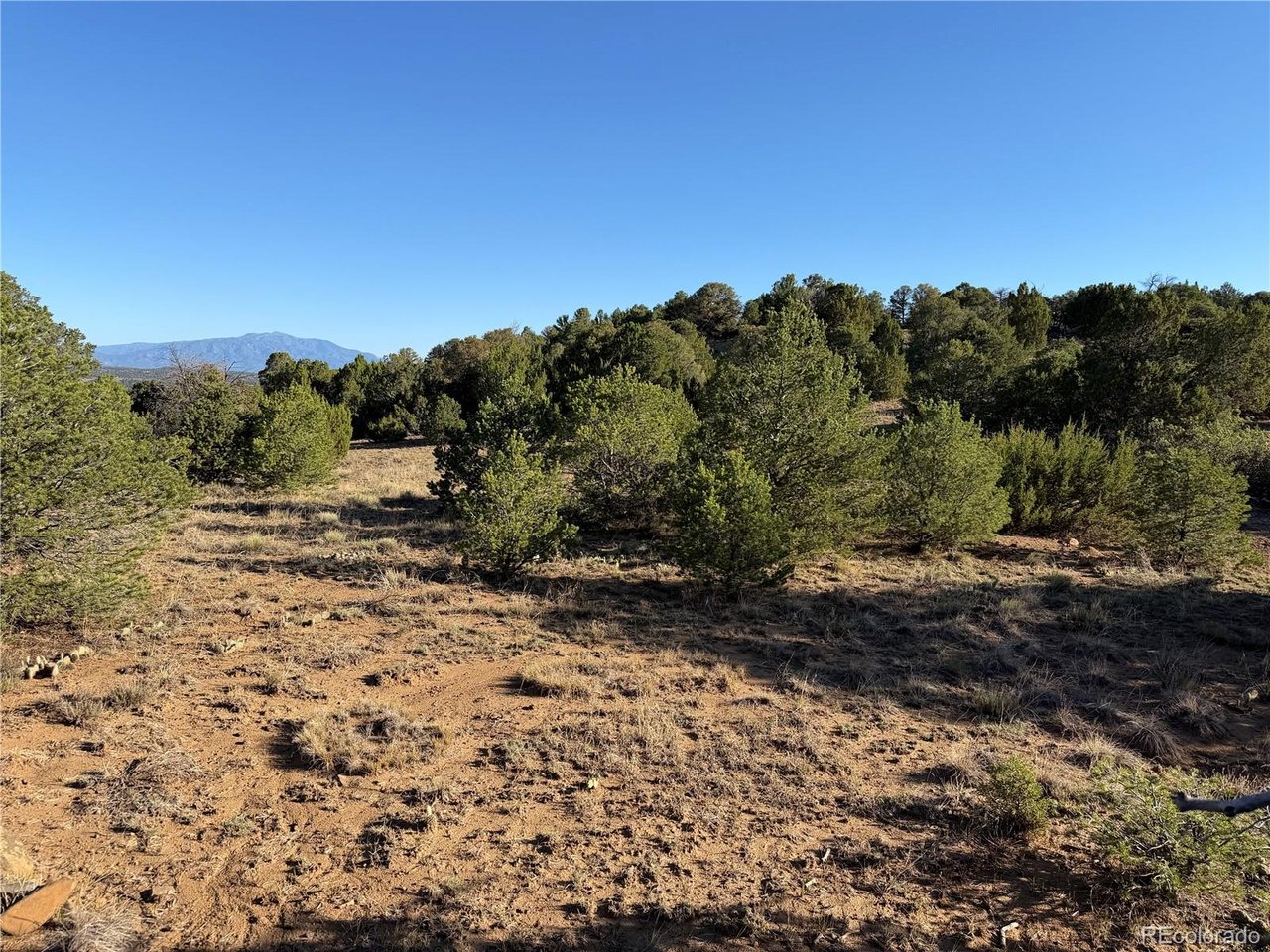 141 River Ridge Trail Walsenburg, CO 81089 - Photo 9 of 28 Gallery Image 9