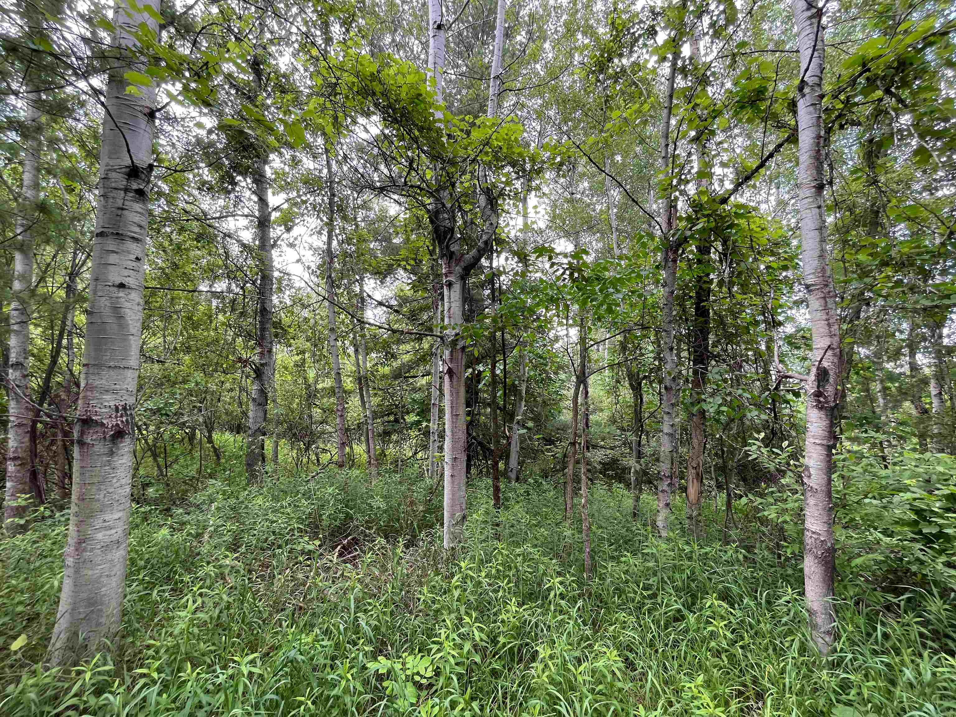 East Fouch Road Traverse City, MI 49684 - Photo 32 of 40 Gallery Image 32