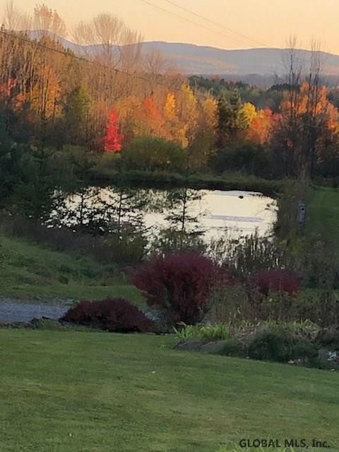 1066 Enid Road Summit, NY 12175 - Photo 4 of 61 Photo 4