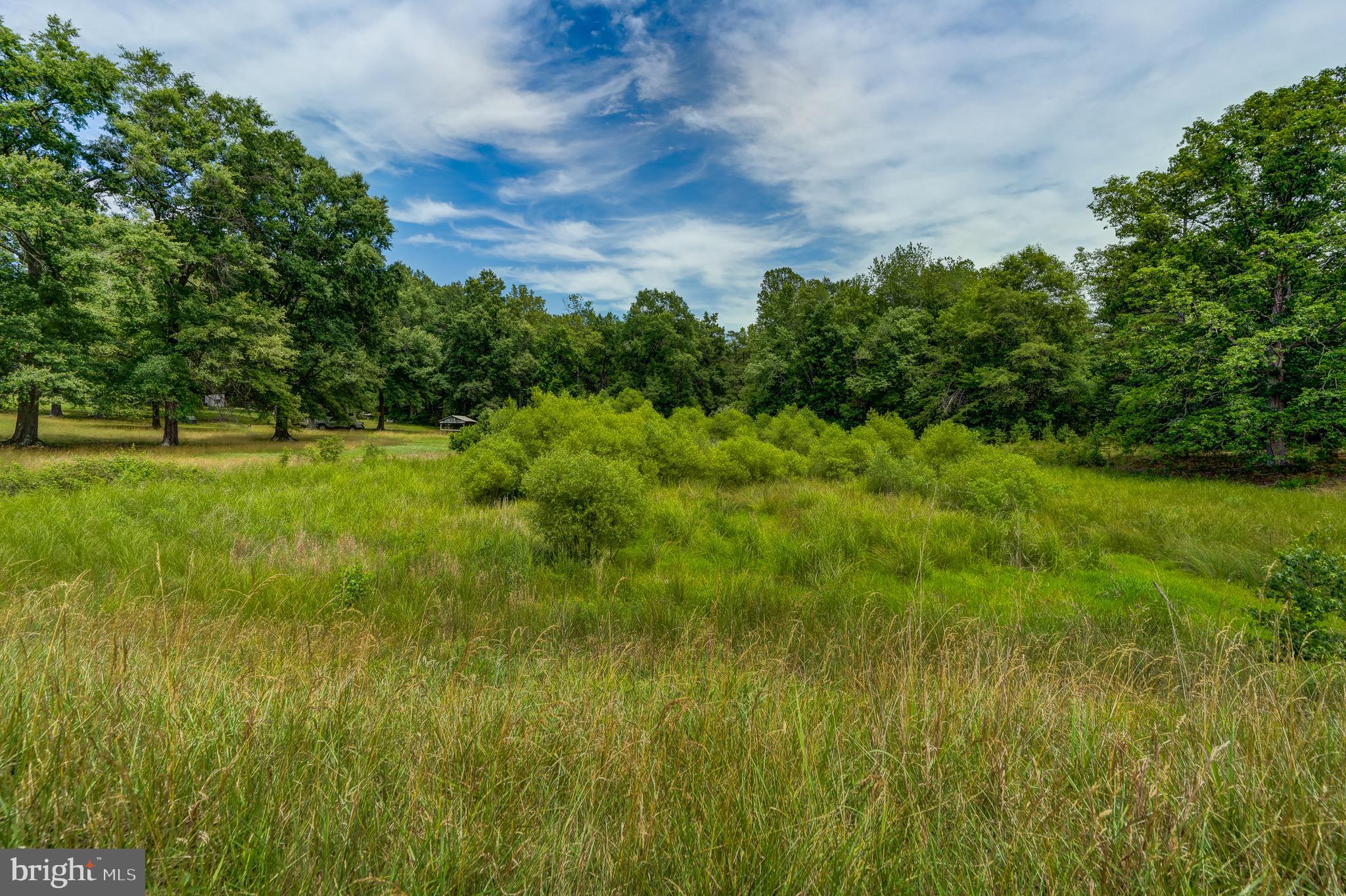 8858 Poindexter Road Louisa, VA 23093 - Photo 36 of 48