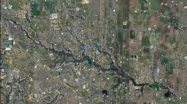 a close up of a tree