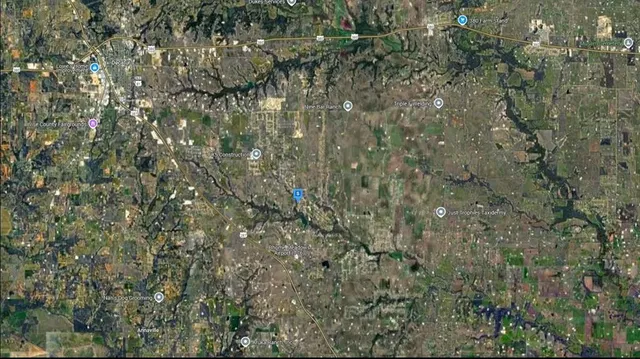 a close up of a plant