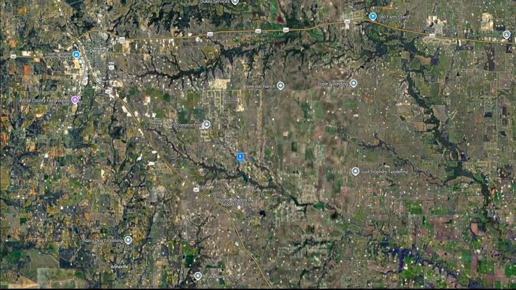 129 Stewart Drive Decatur, TX 76234 - Photo 4 of 6 a close up of a plant