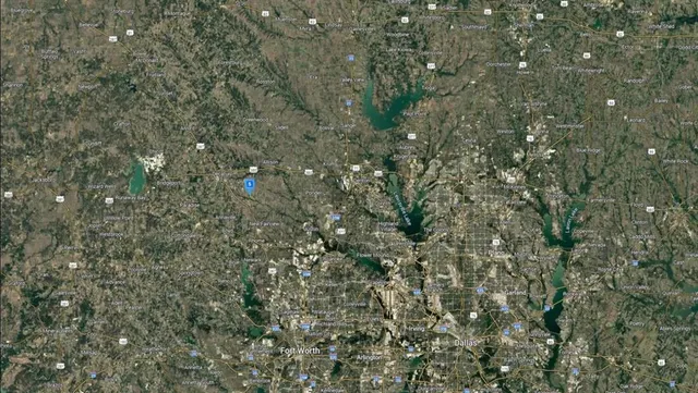 a close up of a tree