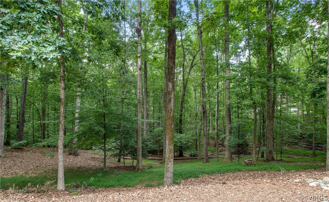 14140 Netherfield Drive Midlothian, VA 23113 - Photo 46 of 48 a view of a park with a trees