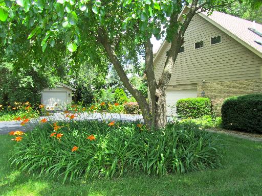 11-s655 Book Road Naperville, IL 60564 - Photo 3 of 15