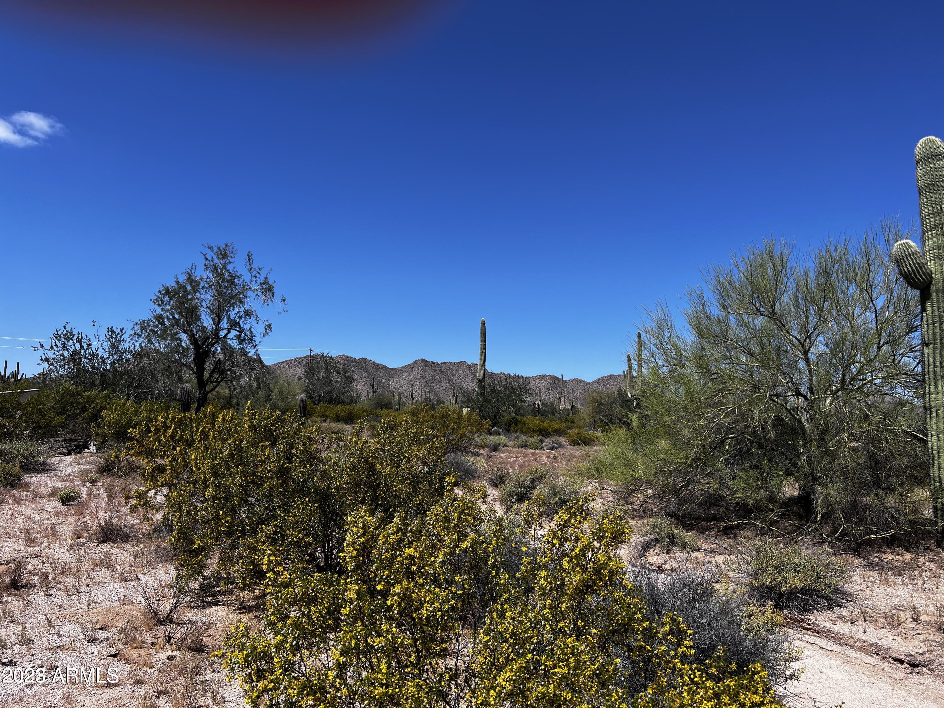 2111 South Warren Road Maricopa, AZ 85139 - Photo 3 of 34 IMG_2888