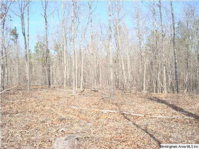 1180 Thompson Road, Unit 39 ACRES Ohatchee, AL 36271 - Photo 3 of 16