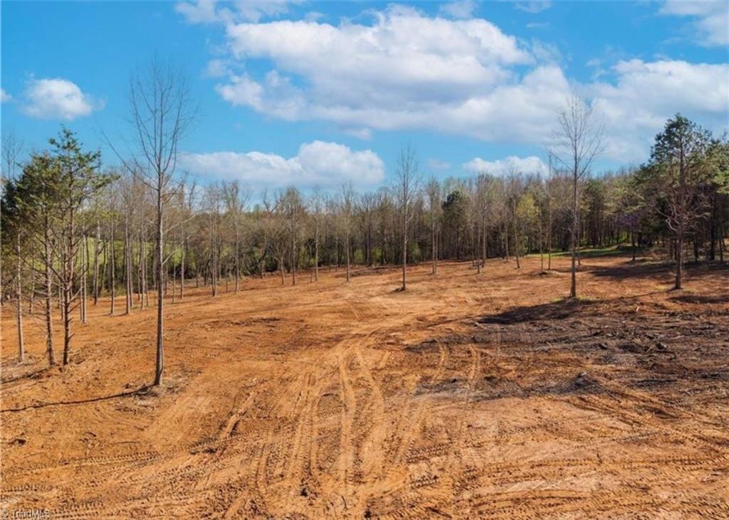 2633 Sprouse Road Boonville, NC 27011 - Photo 2 of 19