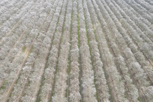 $2,226,000 | 0 Apn 029-190-023-000, Madera, CA 93637