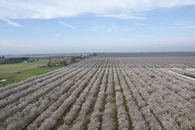 $2,226,000 | 0 Apn 029-190-023-000, Madera, CA 93637