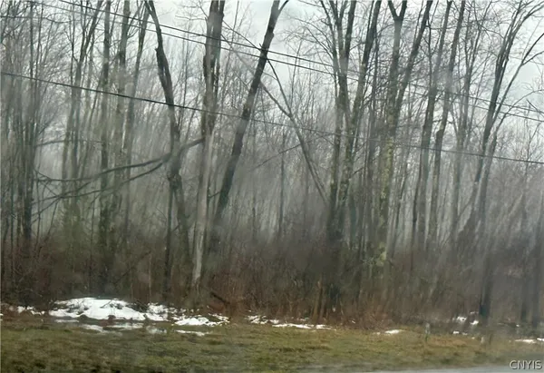 $10,000 | 13 North N Route, Blossvale, NY 13308