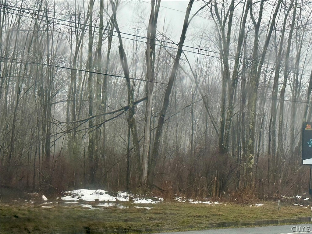 13 North N Route Blossvale, NY 13308 - Photo 3 of 3