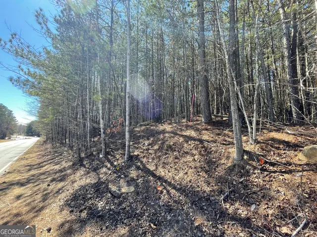 a view of a backyard with trees
