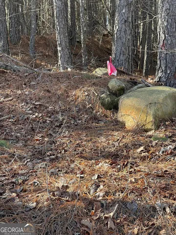 a view of water area with trees