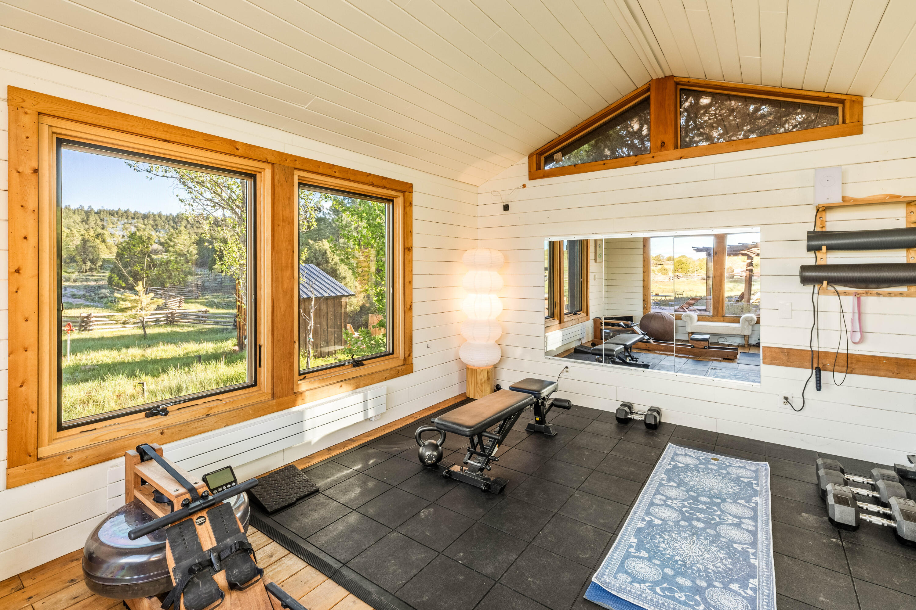 747 County Rd V44 Norwood, CO 81423 - Photo 29 of 45 Gym Cabin