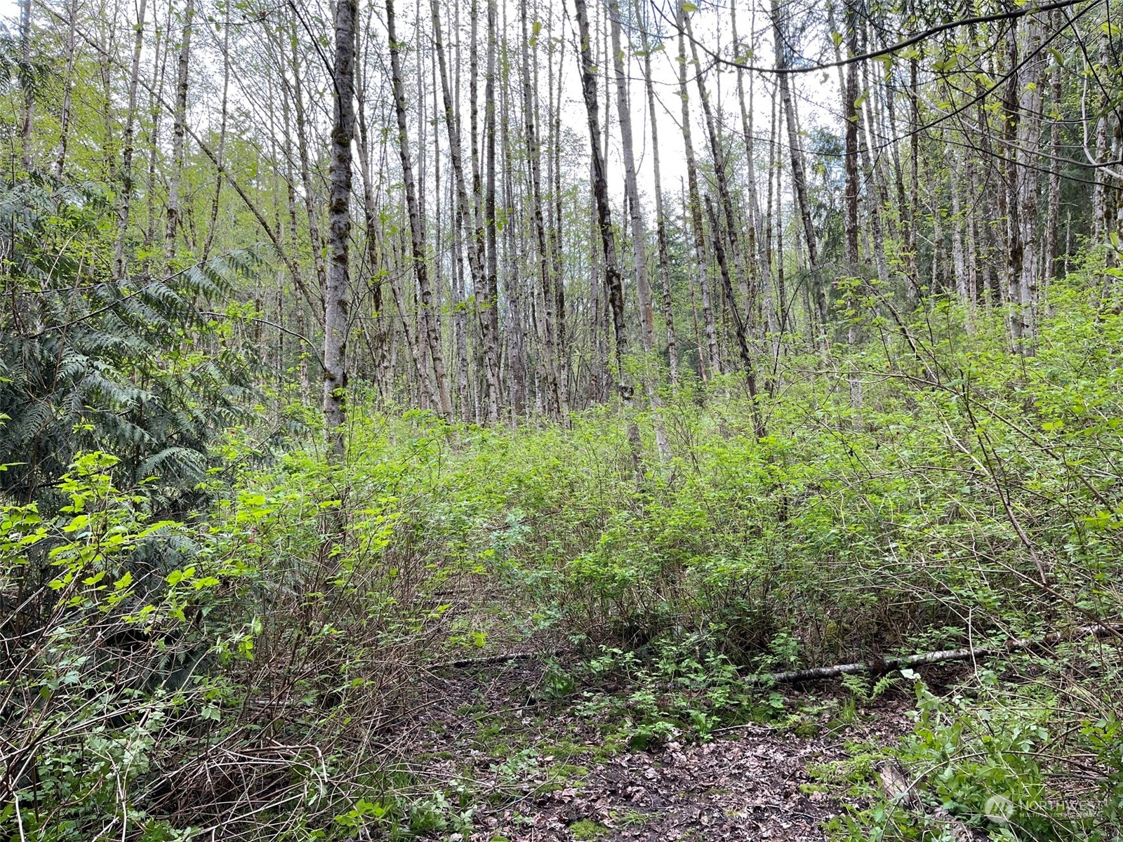 2800 Freestad Road Arlington, WA 98223 - Photo 13 of 23 Gallery Image 13