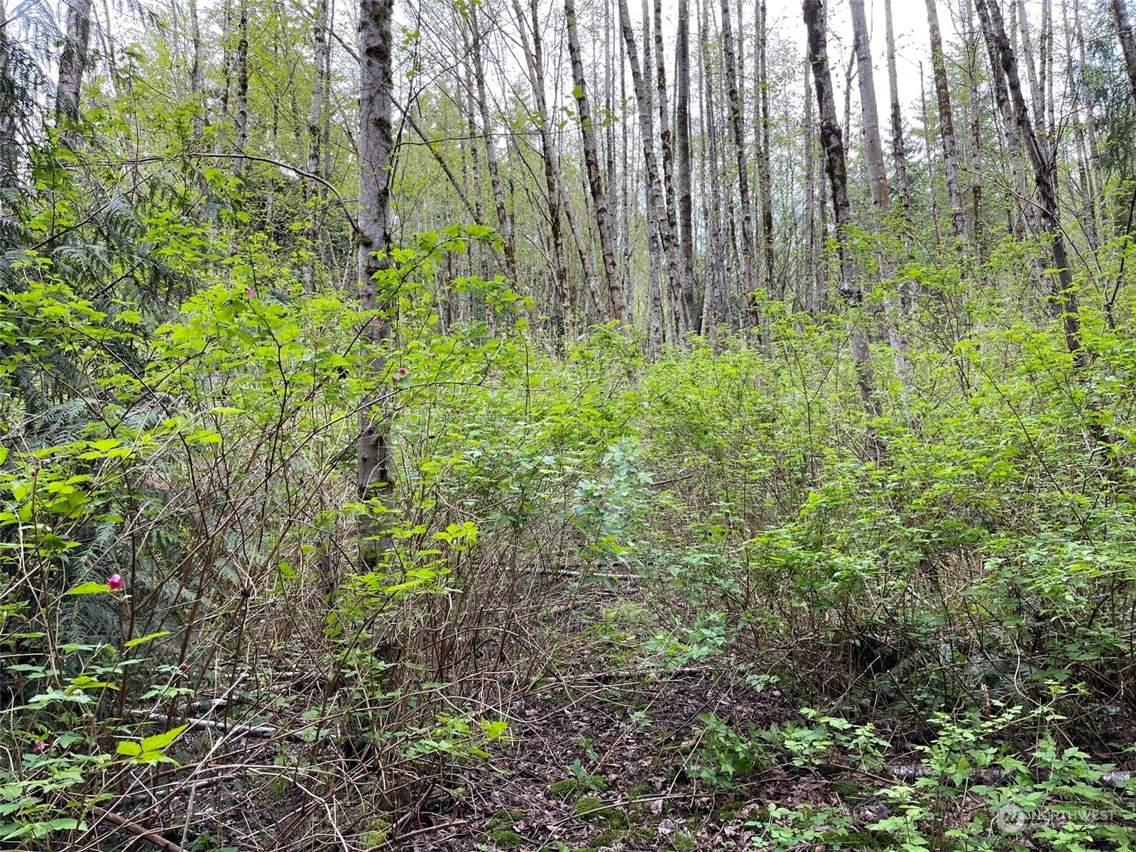 2800 Freestad Road Arlington, WA 98223 - Photo 14 of 23 Gallery Image 14