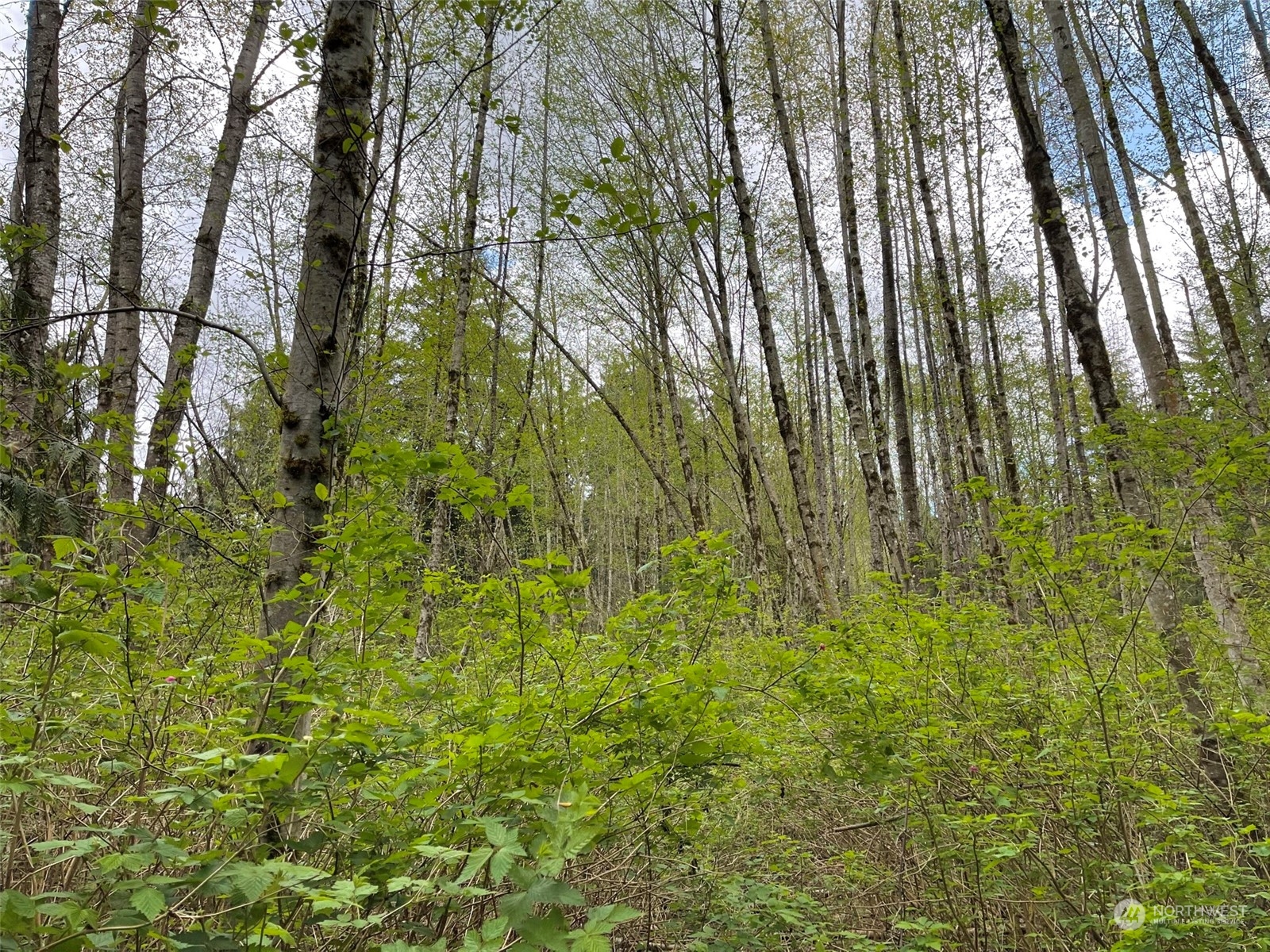 2800 Freestad Road Arlington, WA 98223 - Photo 15 of 23 Gallery Image 15