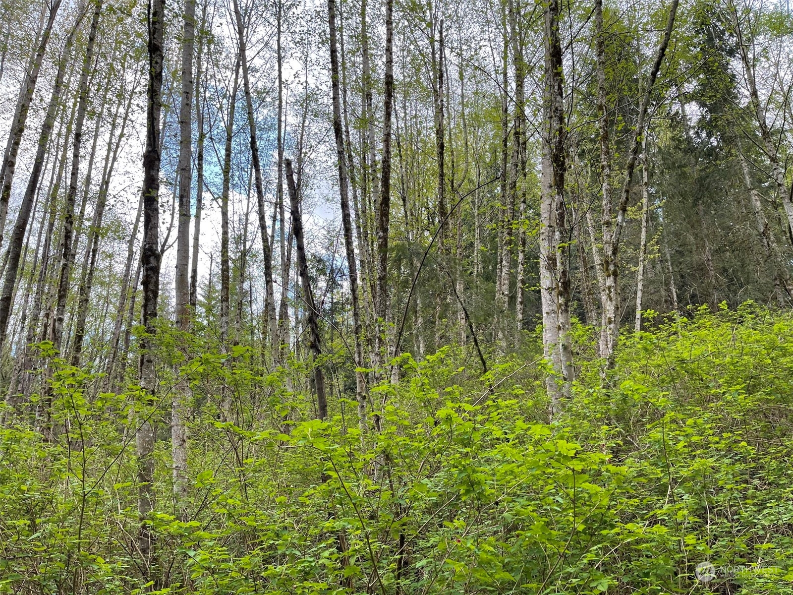 2800 Freestad Road Arlington, WA 98223 - Photo 16 of 23 Gallery Image 16