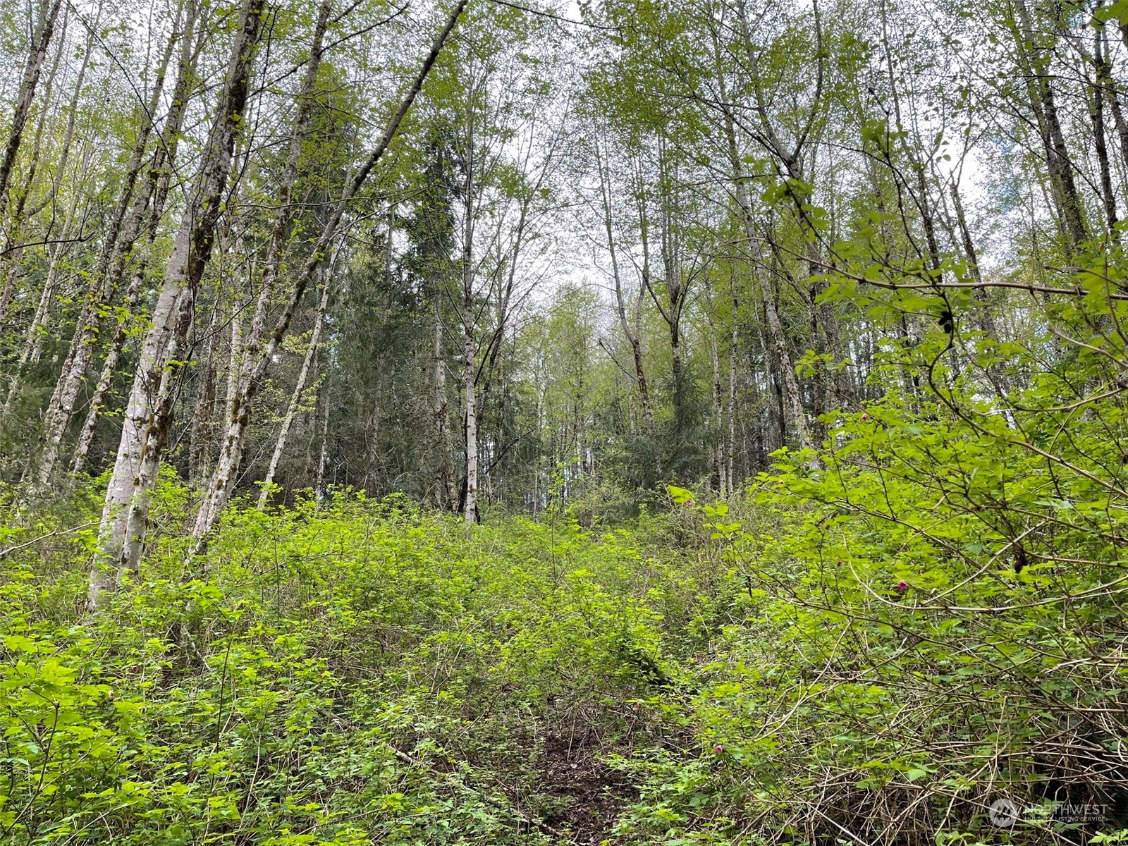 2800 Freestad Road Arlington, WA 98223 - Photo 17 of 23 Gallery Image 17