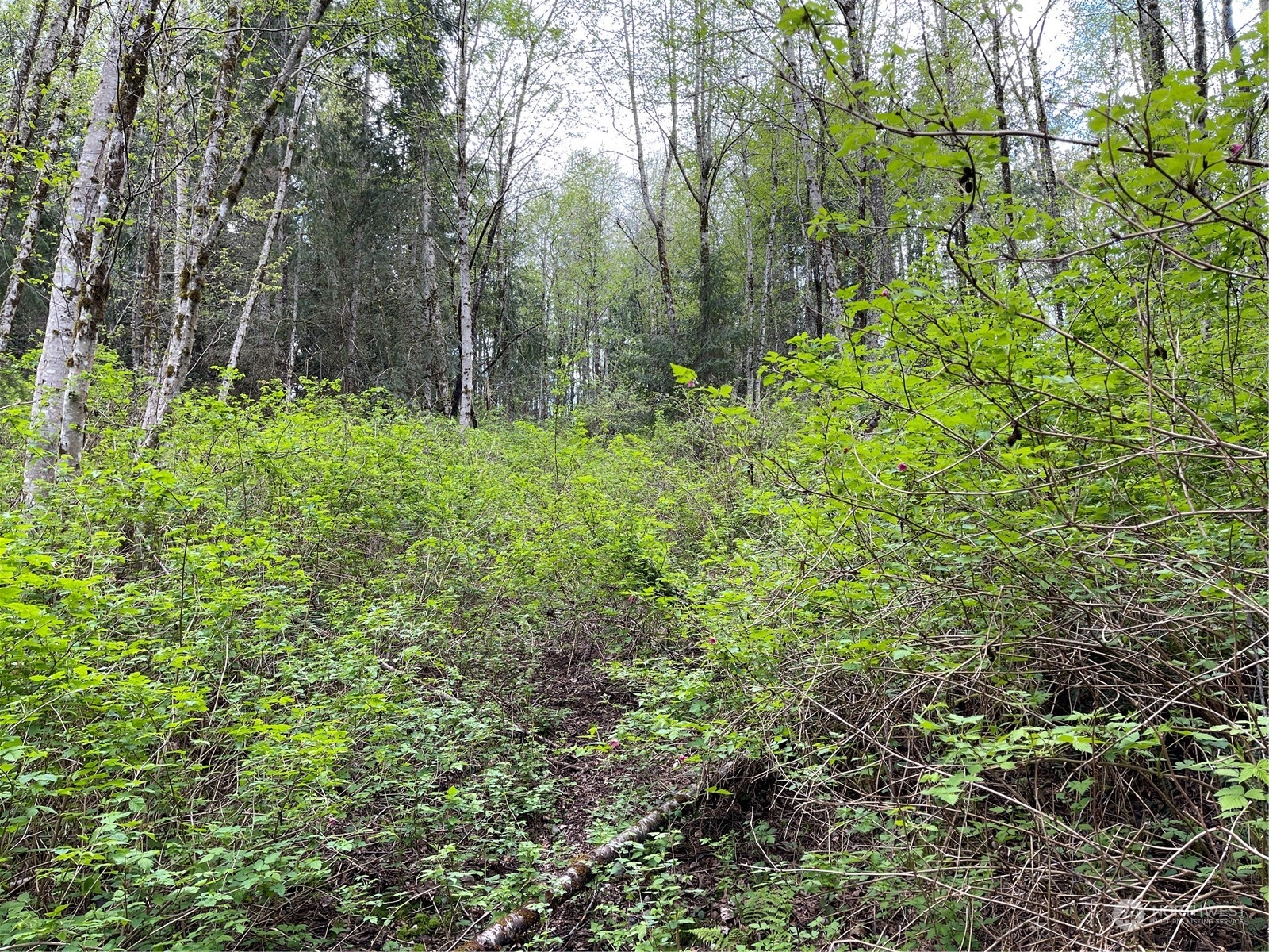 2800 Freestad Road Arlington, WA 98223 - Photo 18 of 23 Gallery Image 18