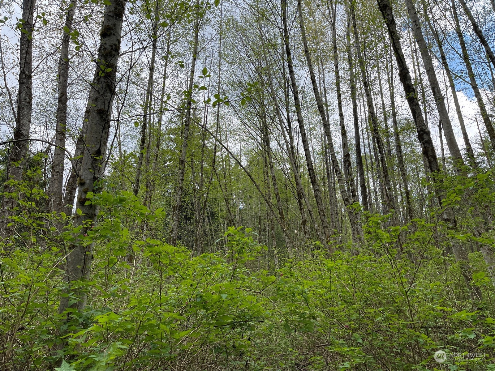 2800 Freestad Road Arlington, WA 98223 - Photo 5 of 23 Gallery Image 5