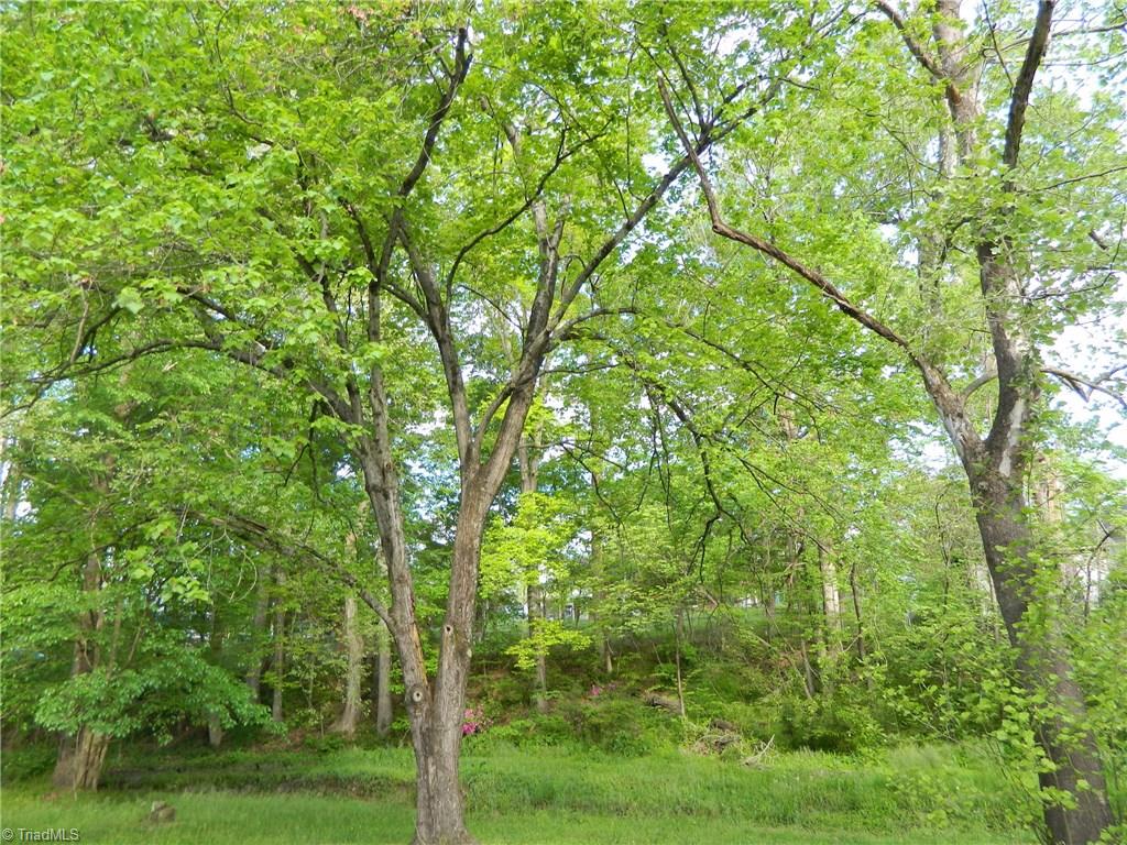 3617 Rolling Road High Point, NC 27265 - Photo 7 of 21