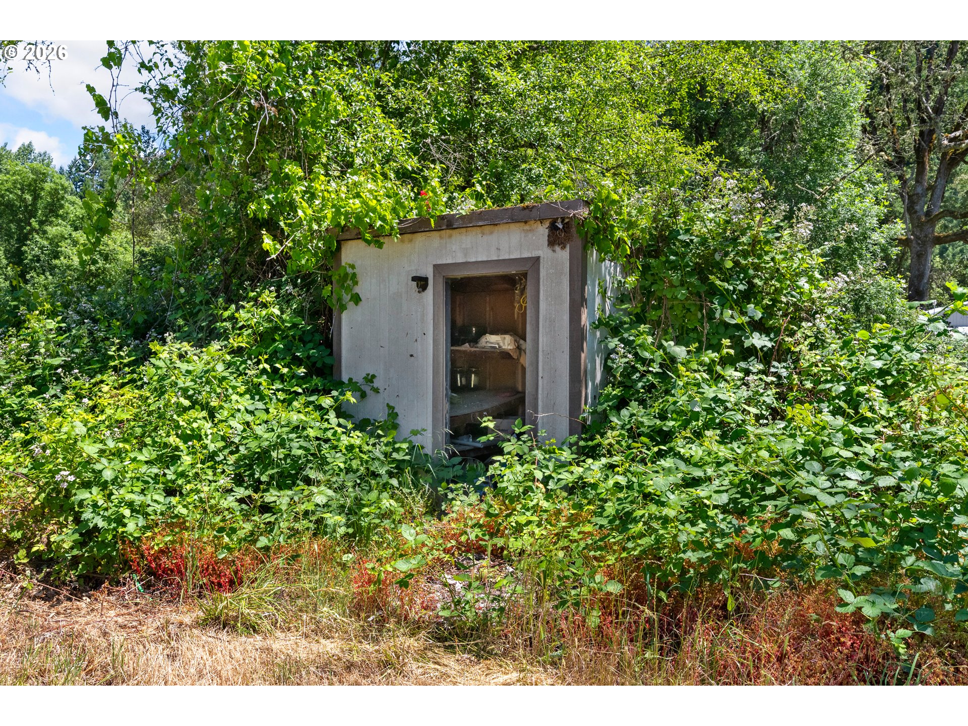 596 Raleigh Drive Winston, OR 97496 - Photo 20 of 30