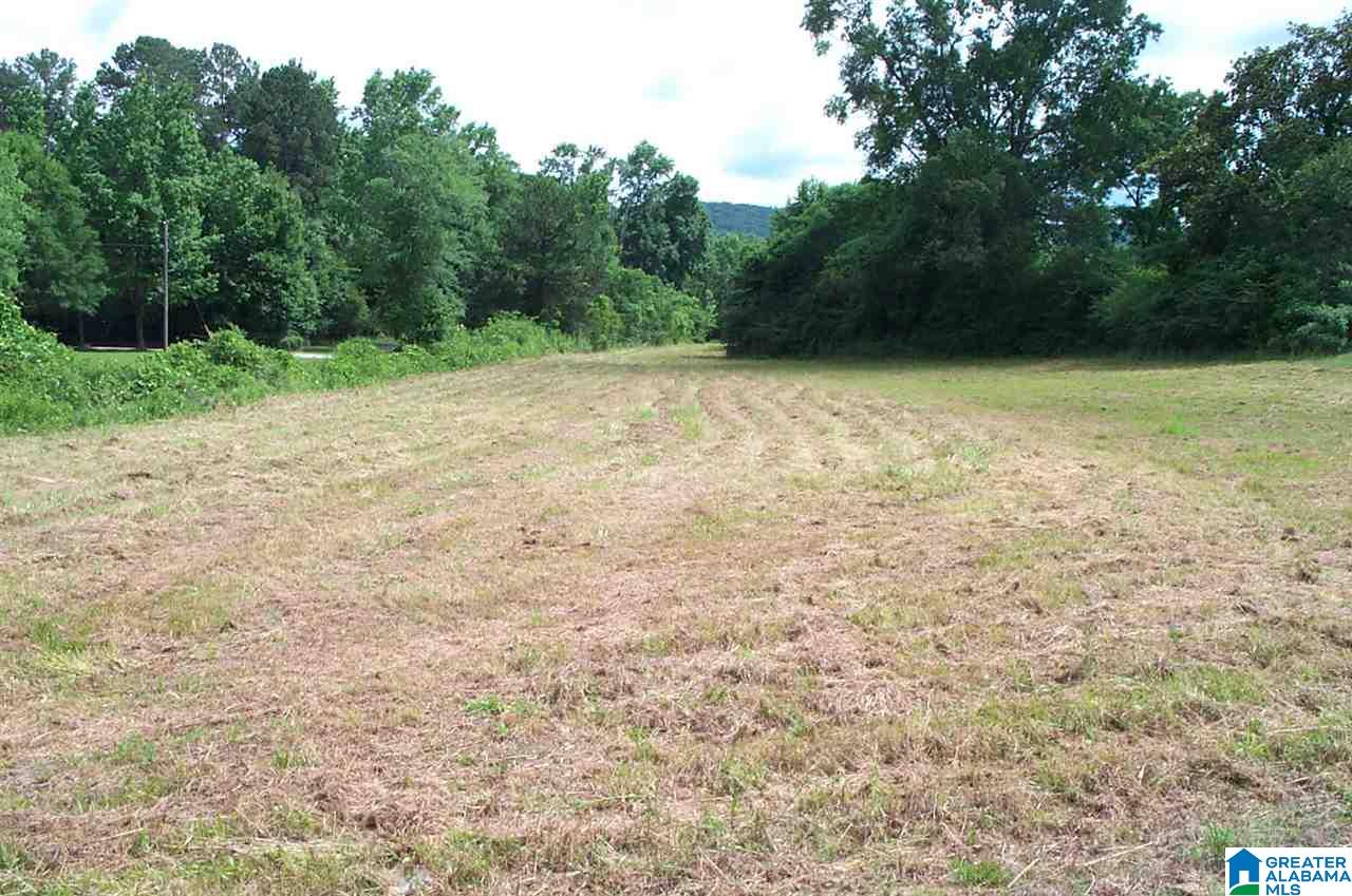 4700 McIntosh Road, Unit 1 Oxford, AL 36203 - Photo 5 of 9