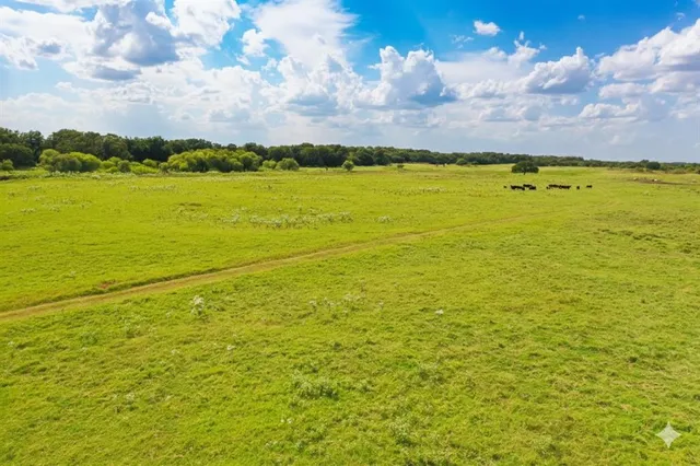 a view of a yard with an ocean