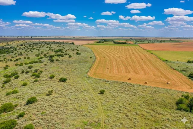a view of an ocean beach