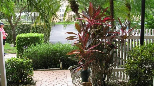 a view of backyard of house