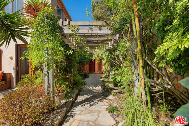 a plant is in front of a house