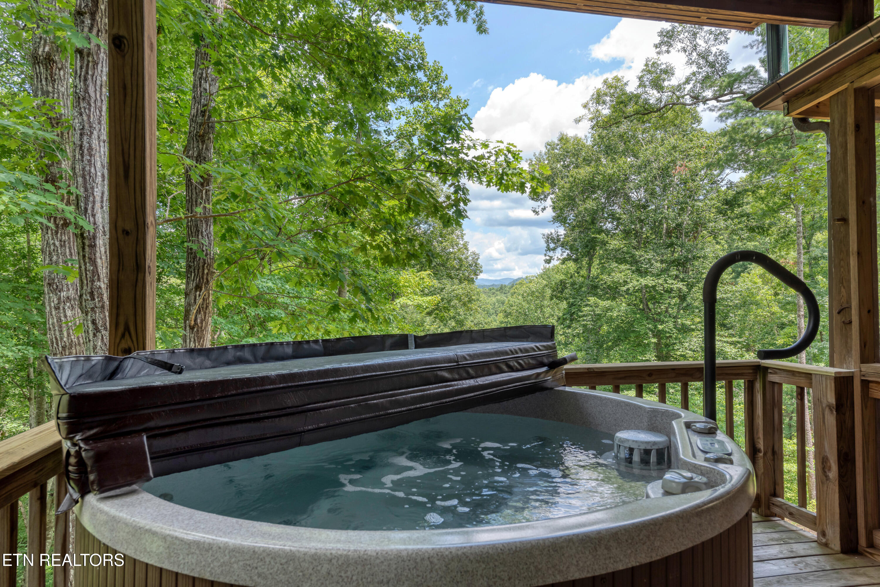 374 Laurel Road Townsend, TN 37882 - Photo 40 of 56 DSC_0080