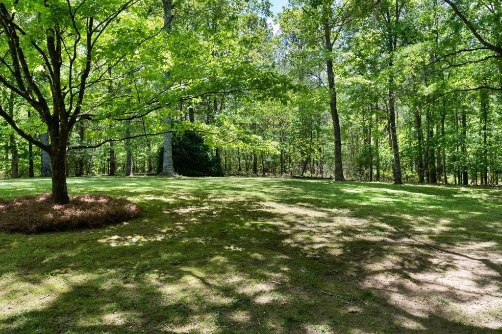 311 Herring Road Armuchee, GA 30105 - Photo 61 of 66 a view of a tree with a yard