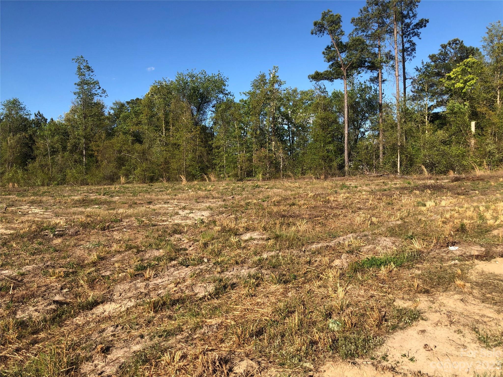 a view of a yard with a tree