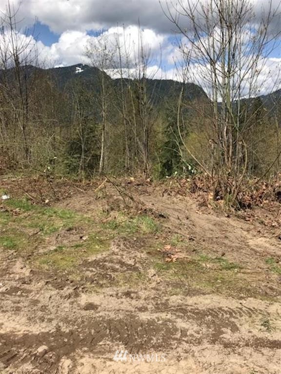 392 Cline Road Randle, WA 98377 - Photo 2 of 6 Gallery Image 2