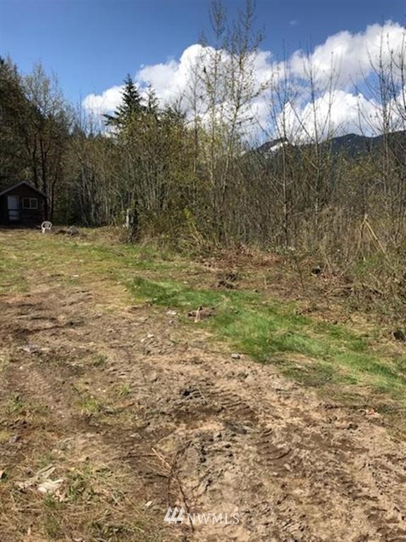 392 Cline Road Randle, WA 98377 - Photo 3 of 6 Gallery Image 3