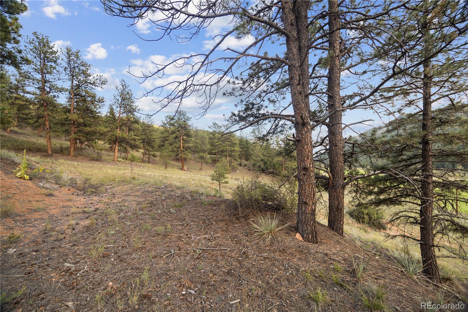 Brynmawr Rd Pine Pine, CO 80470 - Photo 23 of 45
