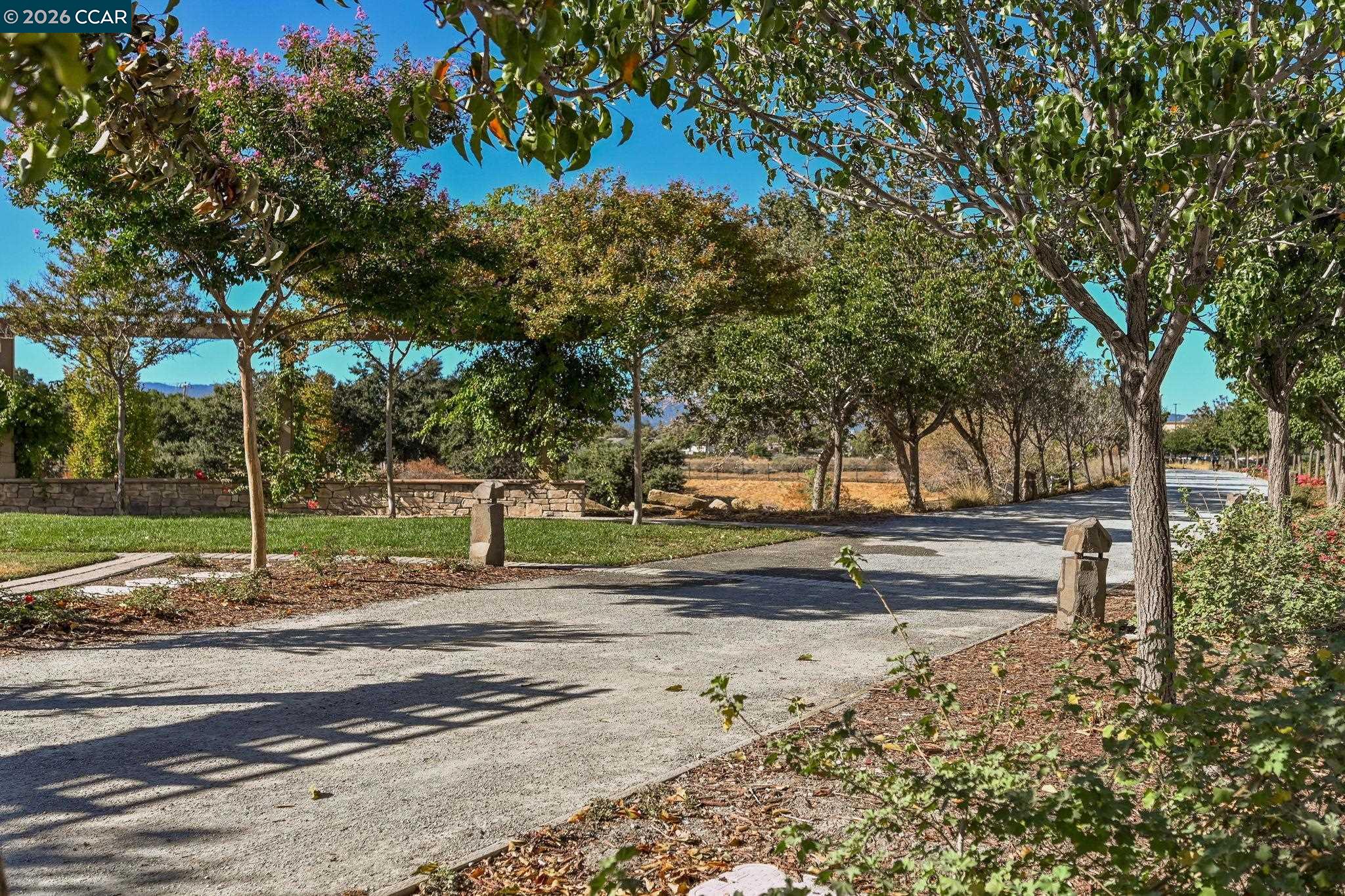 3923 Meridian Street Dublin, CA 94568 - Photo 29 of 39 a park view with tree s