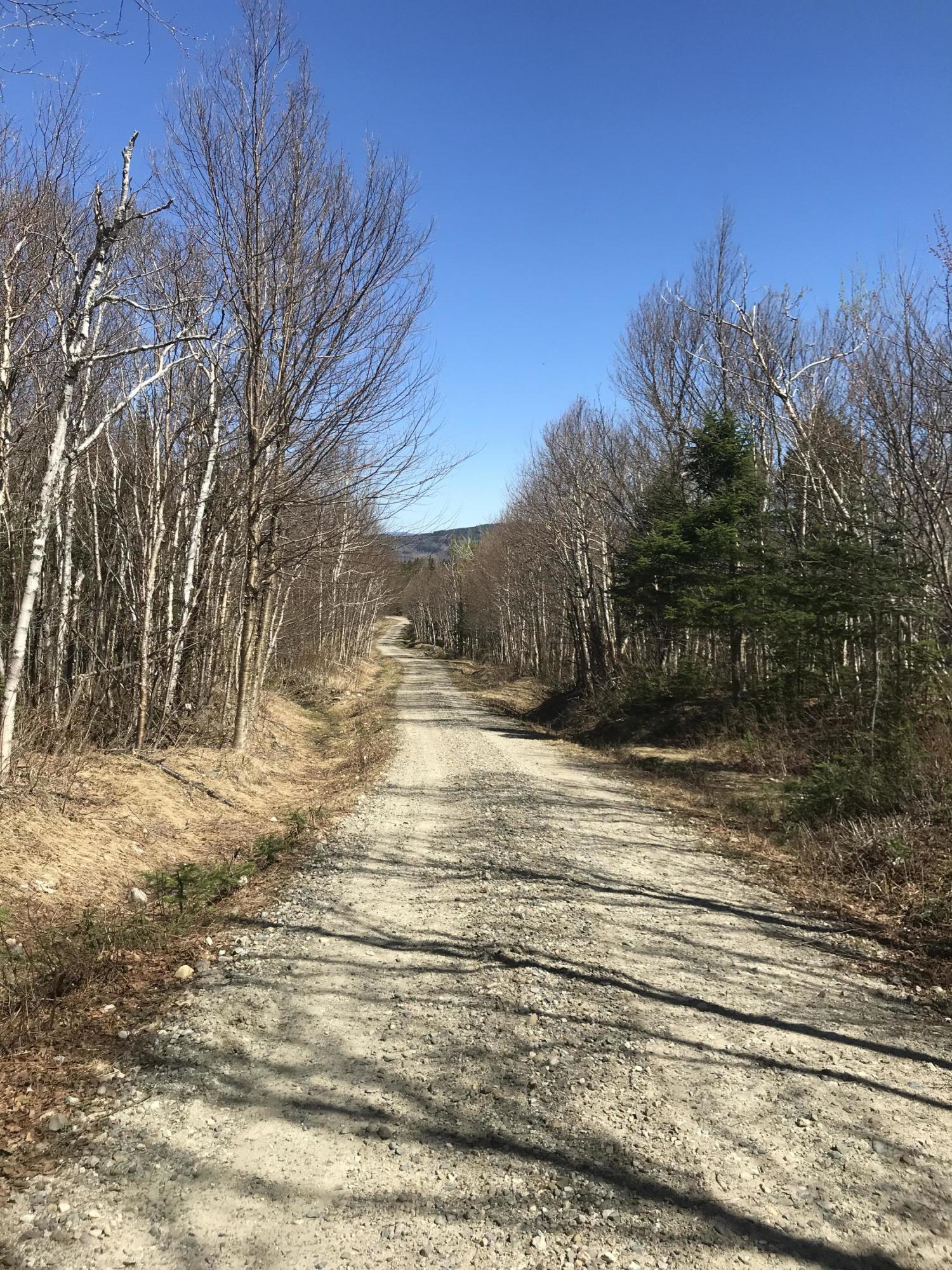 Lot 8 East Lot Road West Forks, ME 04985 - Photo 11 of 12 D77DFB9B-EE74-4387-A058-17F9A4826DDD