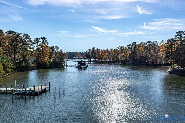 a view of backyard and tree